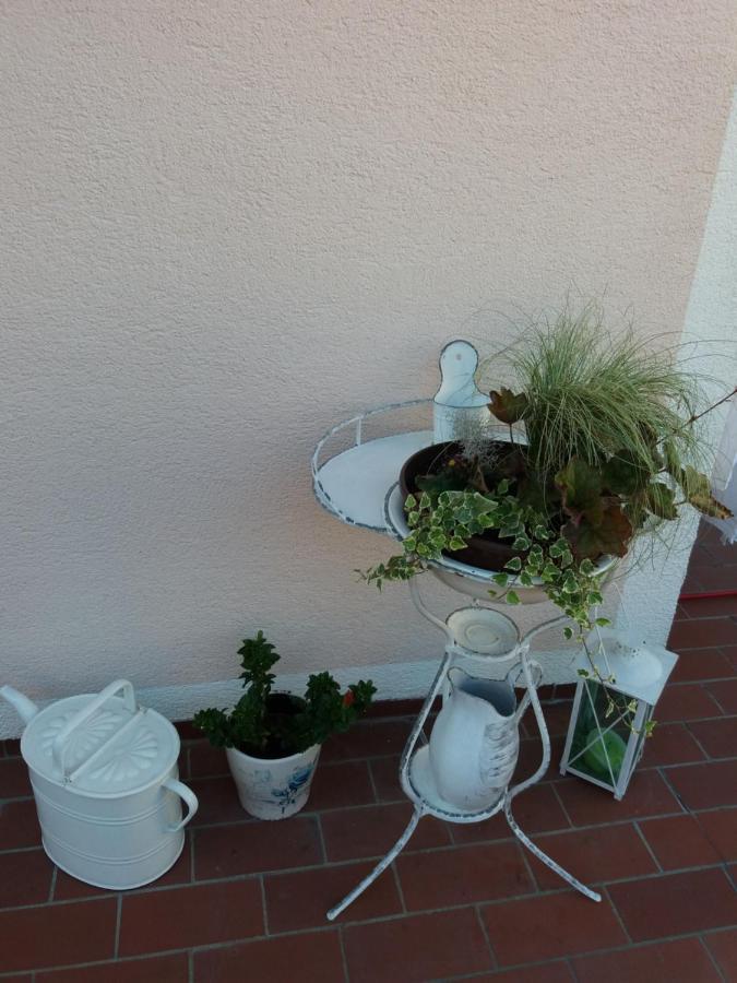 Wohnung Mit Charme In Pinsdorf Exteriör bild