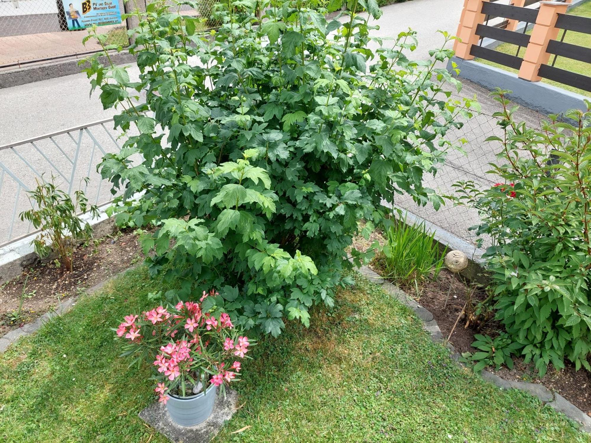 Wohnung Mit Charme In Pinsdorf Exteriör bild