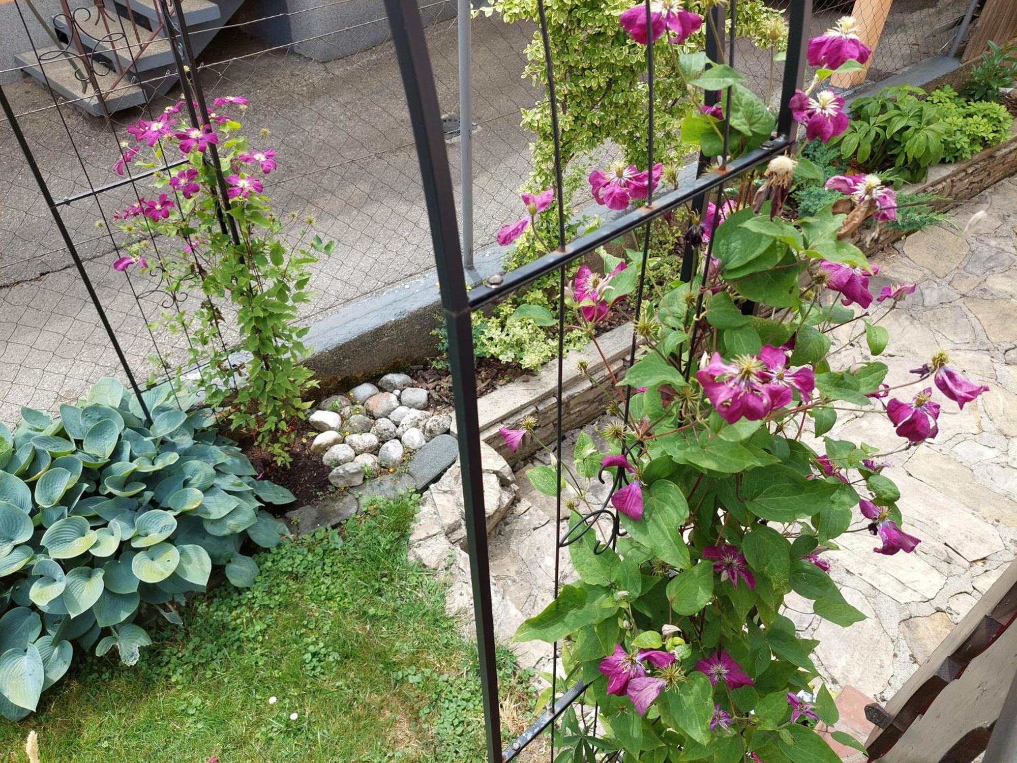 Wohnung Mit Charme In Pinsdorf Exteriör bild