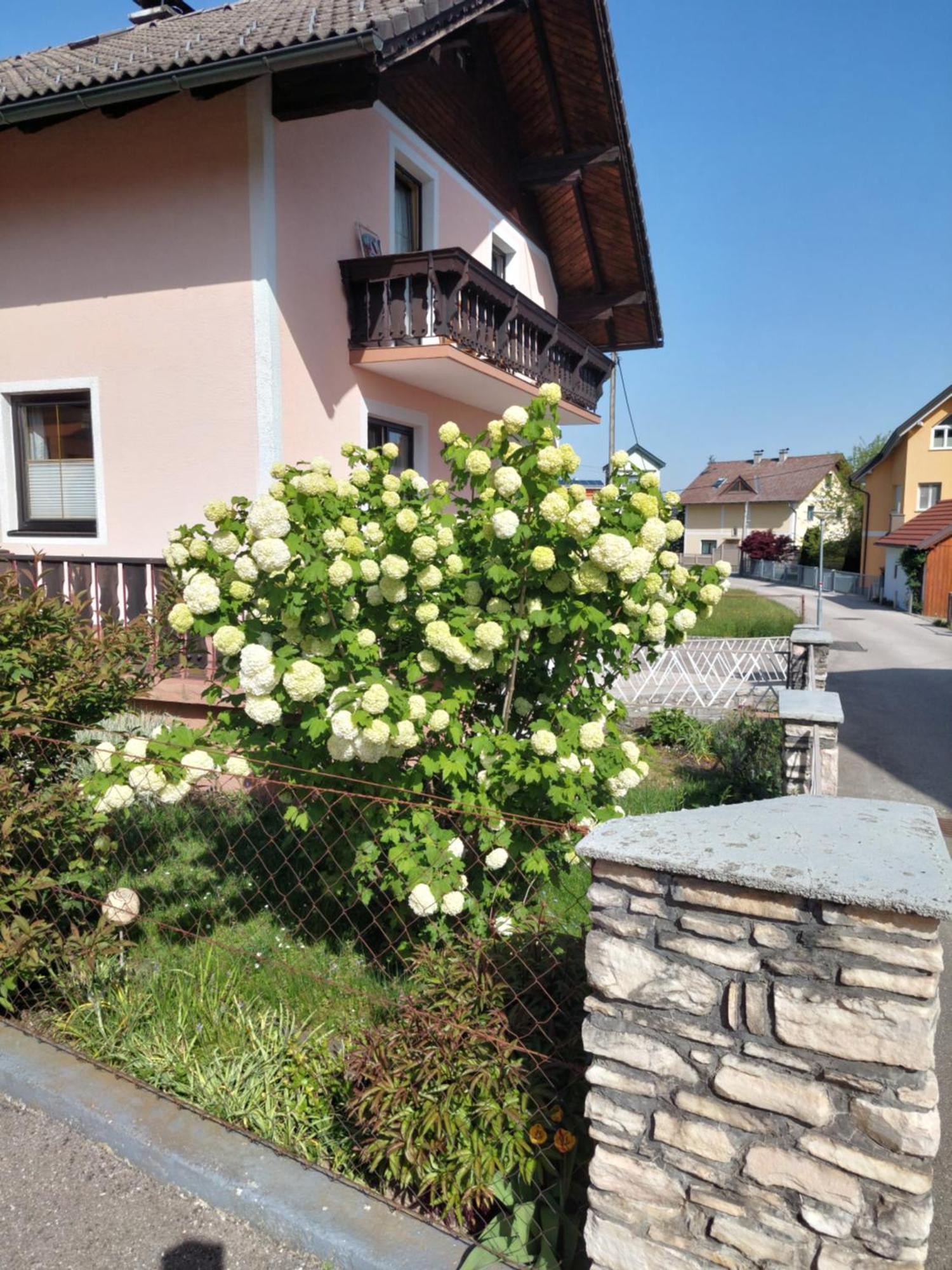 Wohnung Mit Charme In Pinsdorf Exteriör bild